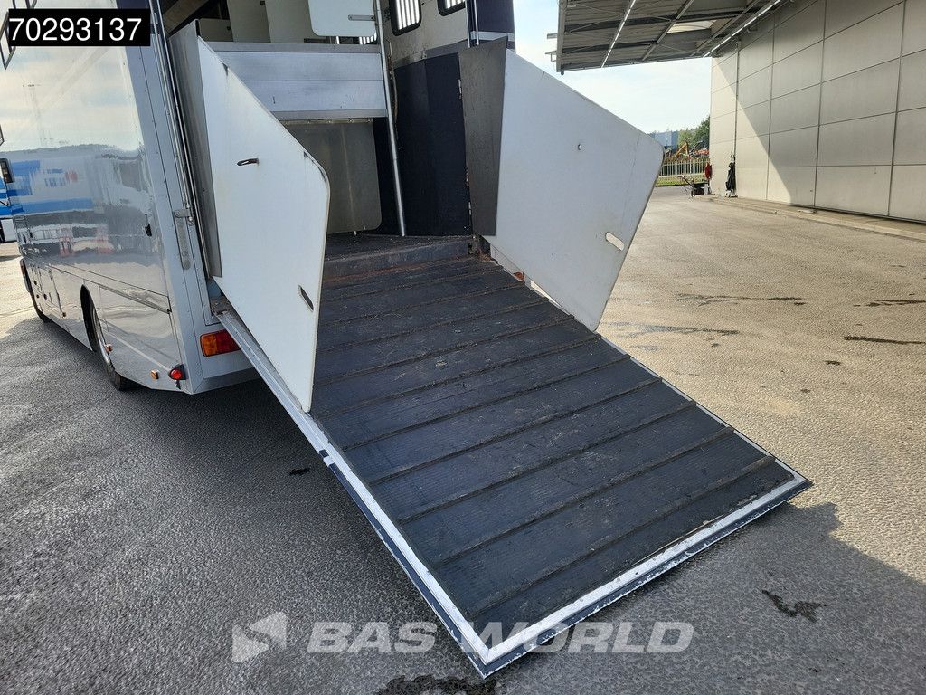 MAN FL 4X2 NL-Horsetruck 6 Horses with Living Pferdentransport Manual Euro 2