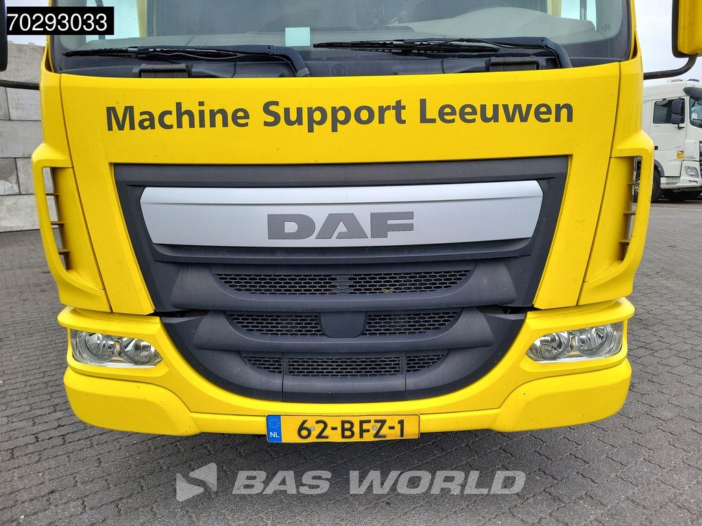 DAF LF LF 220 4X2 12tonner TailGate Manual Euro 6