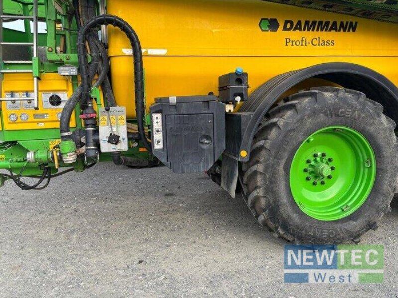 Dammann ANP 10036