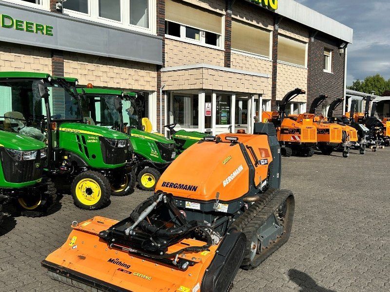 Bergmann M201
