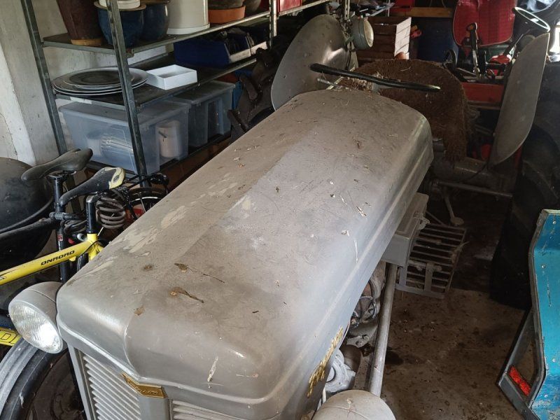 Massey Ferguson 35 benzin Grå