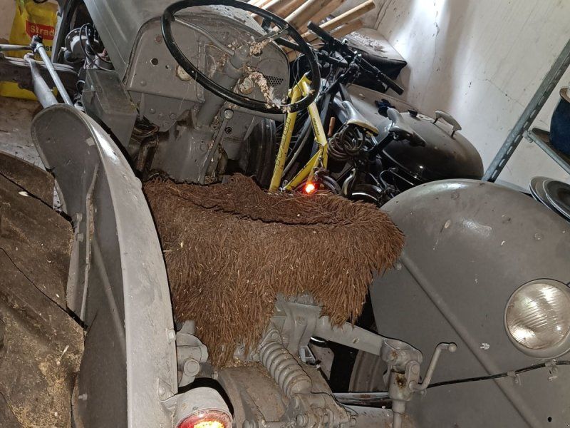 Massey Ferguson 35 benzin Grå