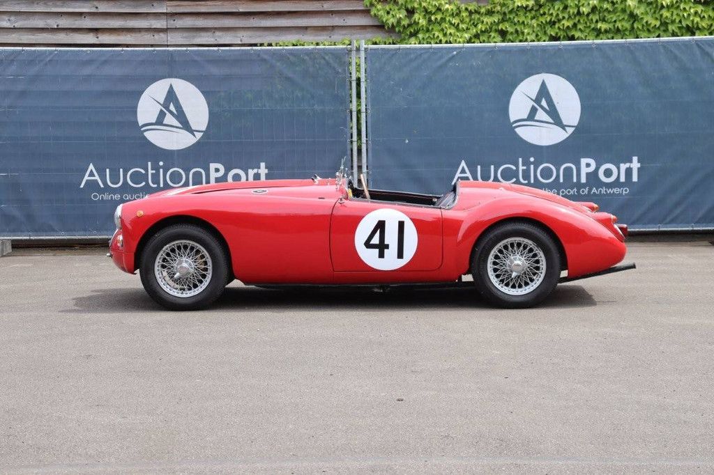 MG MGA Le Mans look Petrol 1960 (Margin)