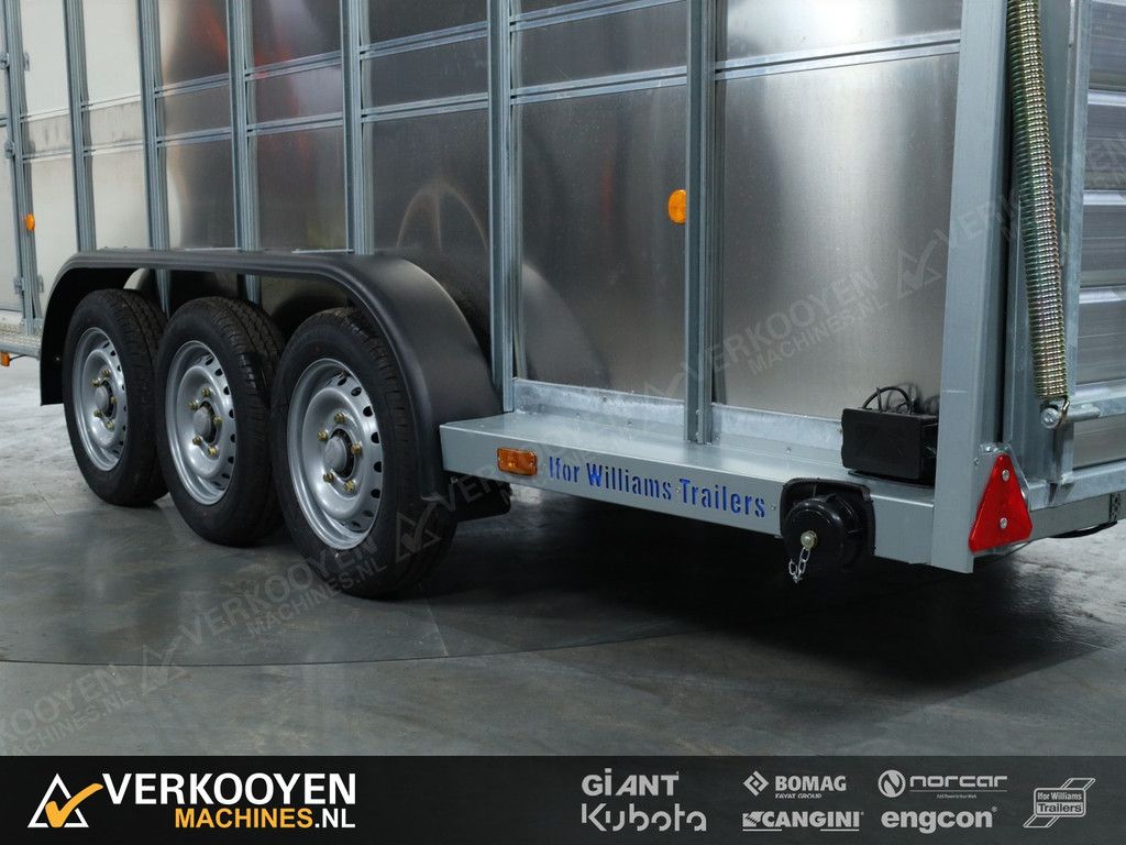 2025 Ifor Williams TA510 16x6 (497x178x182cm) Veetrailer 3-asser VT824