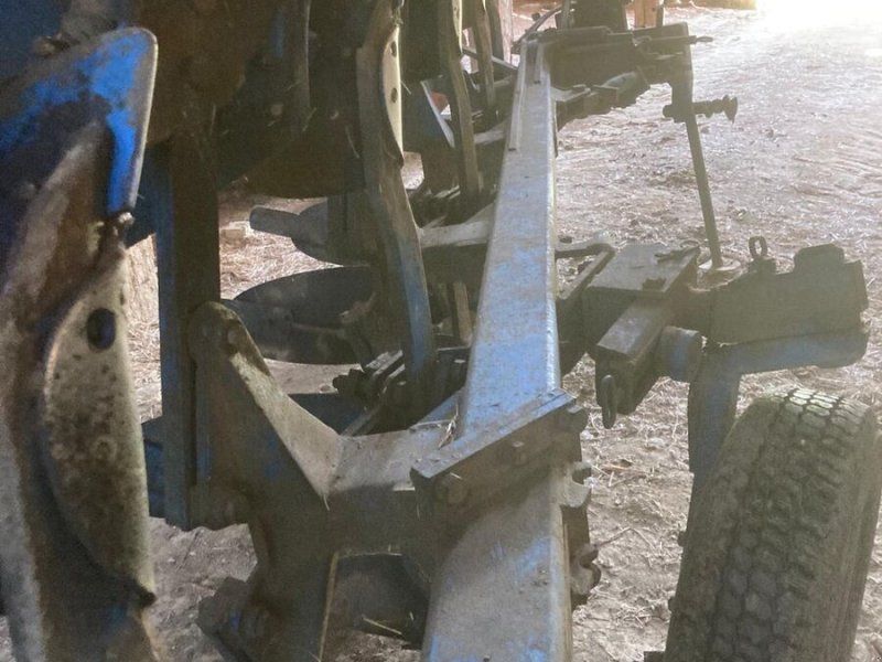 Rabe Supertaube 5Schar