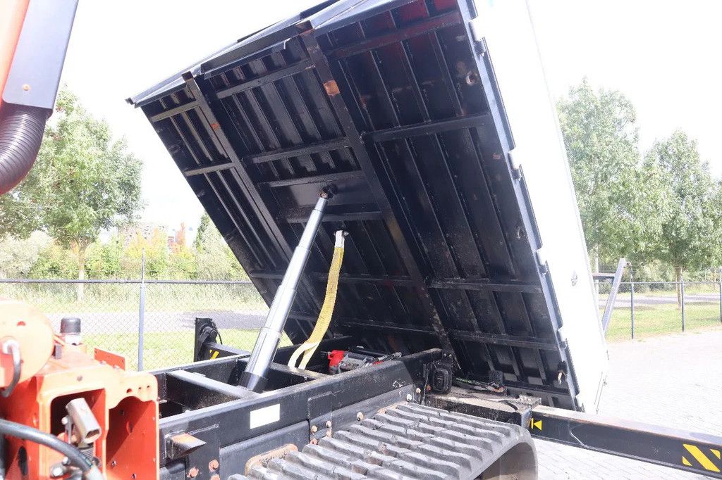 PRINOTH PANTHER T8 | PALFINGER 18502 | WORK PLATFORM | CRANE / KRAN