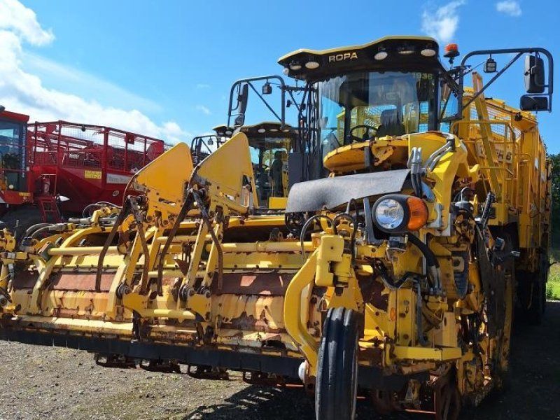 Ropa TIGER 6A