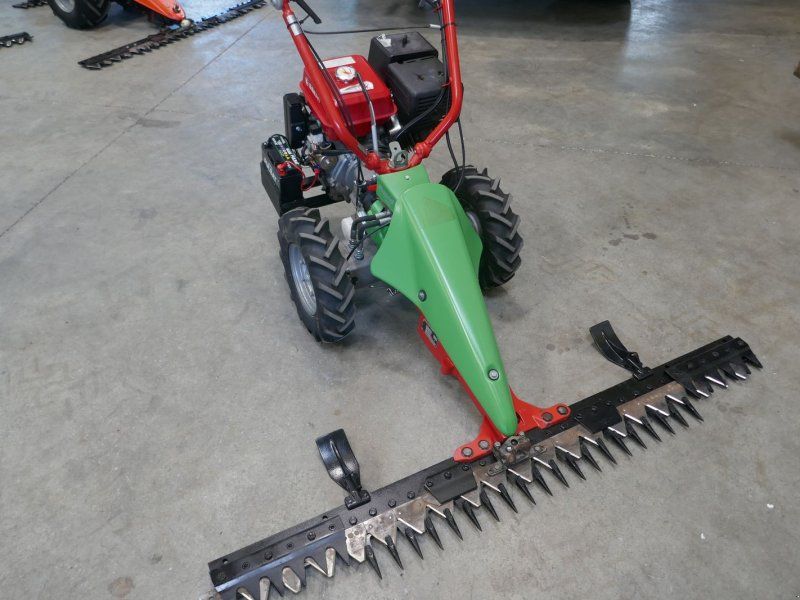 Rapid Rex mit E-Start