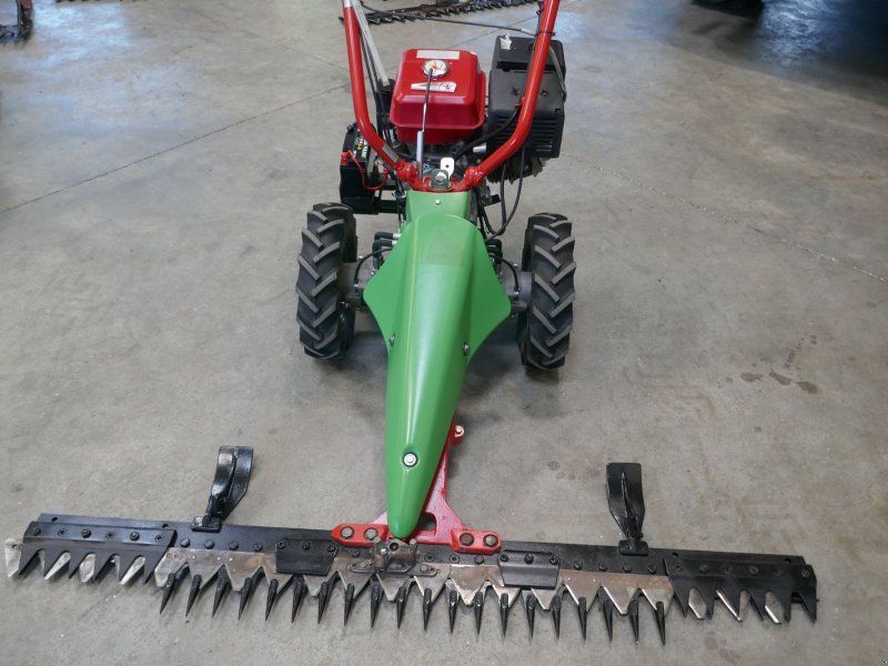 Rapid Rex mit E-Start