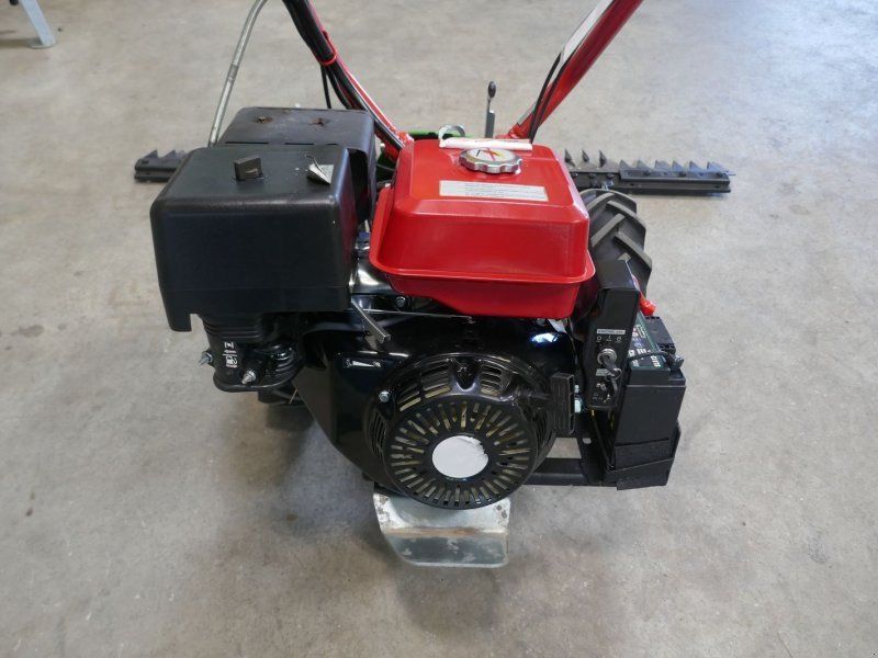 Rapid Rex mit E-Start