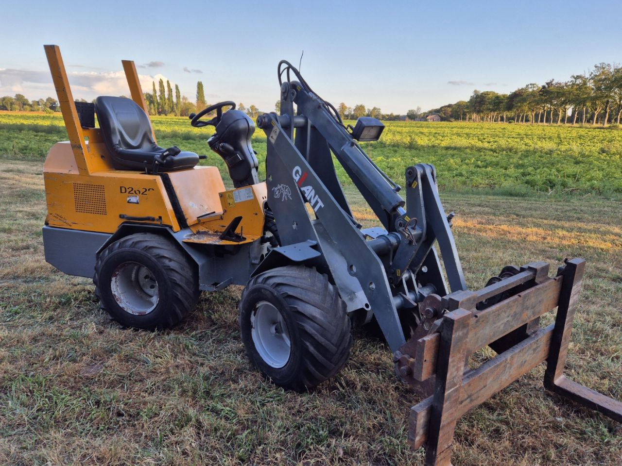 Giant 262 minishovel