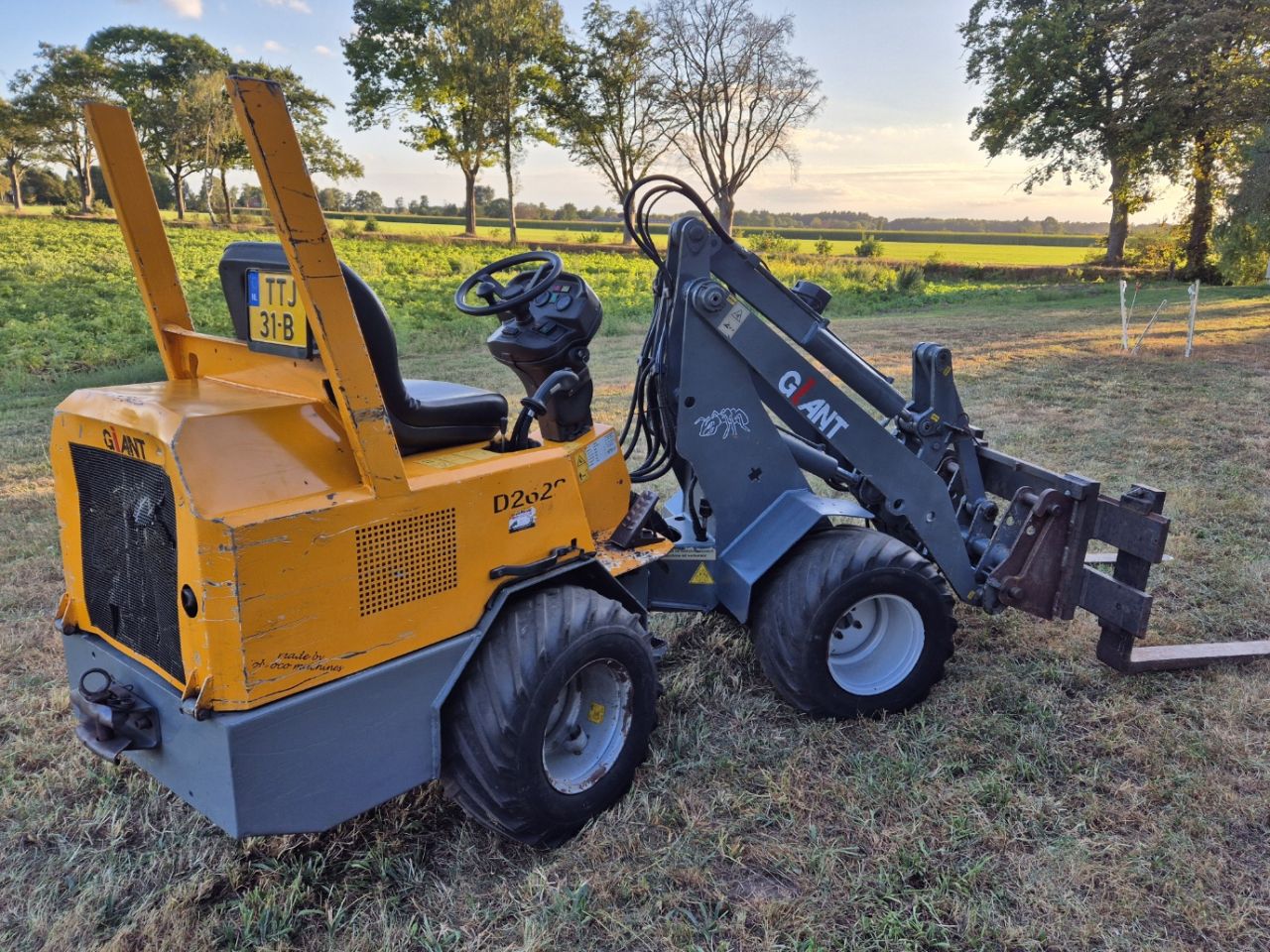 Giant 262 minishovel