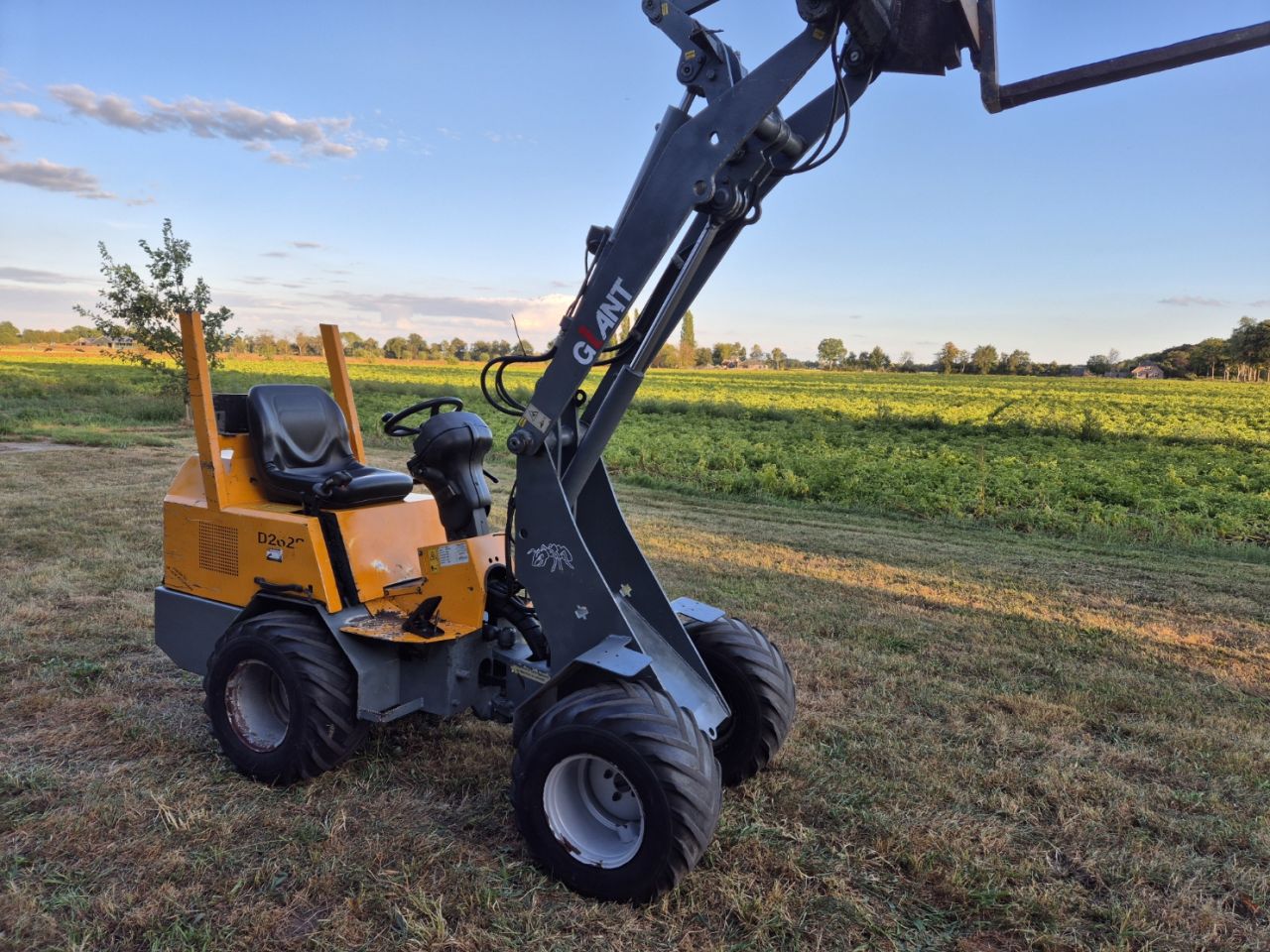 Giant 262 minishovel