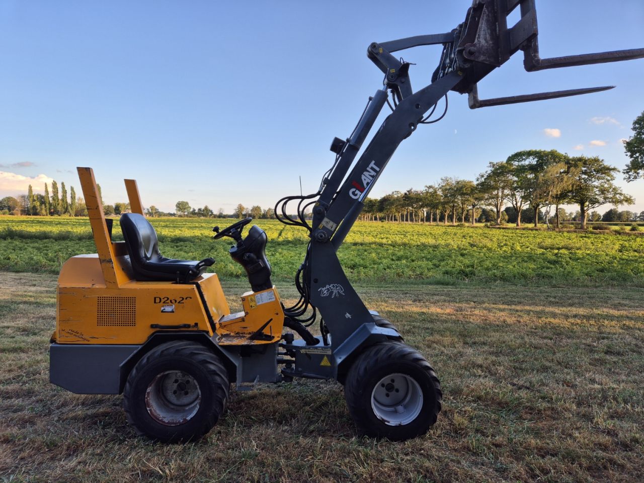 Giant 262 minishovel