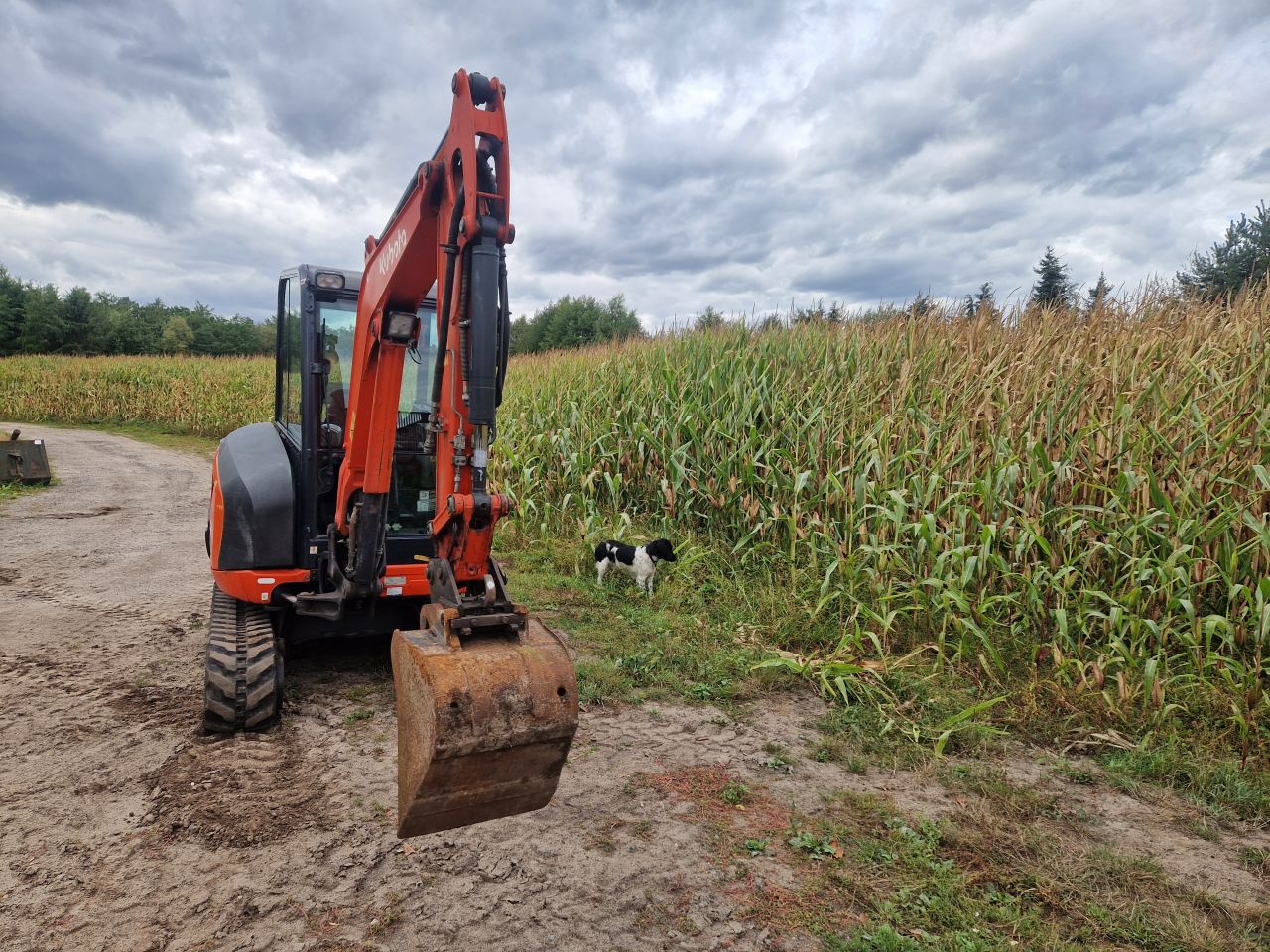 Minigraver kubota kx 027