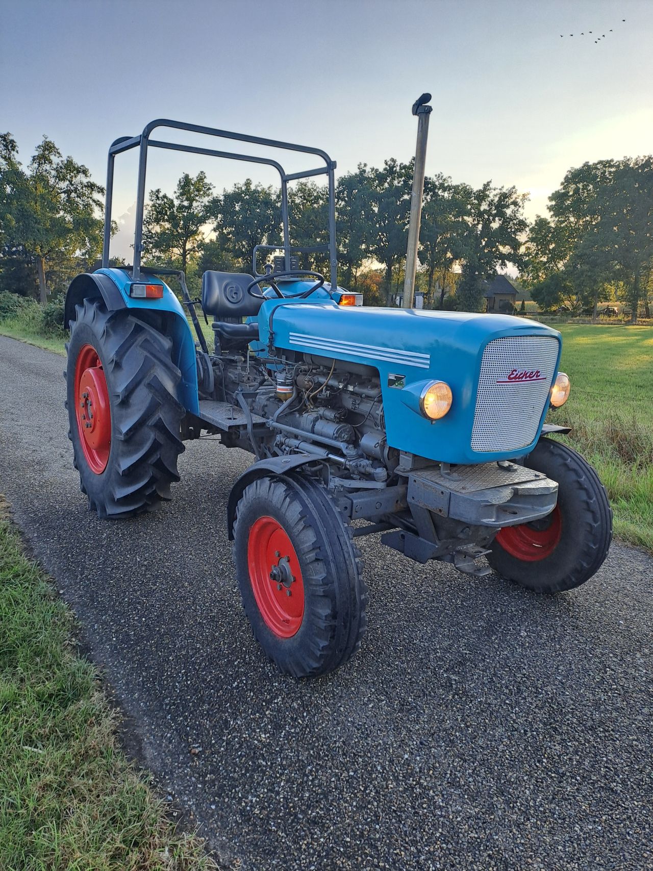 Eicher Mammut 3553 | NL Kenteken 