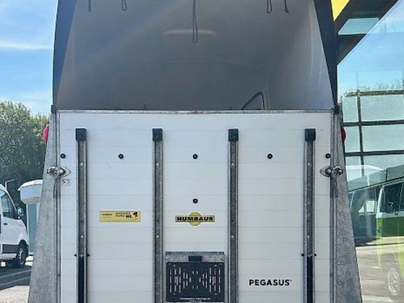 Humbaur Pegasus S 2 Pferdeanhänger  Schraubfederfahrwerk