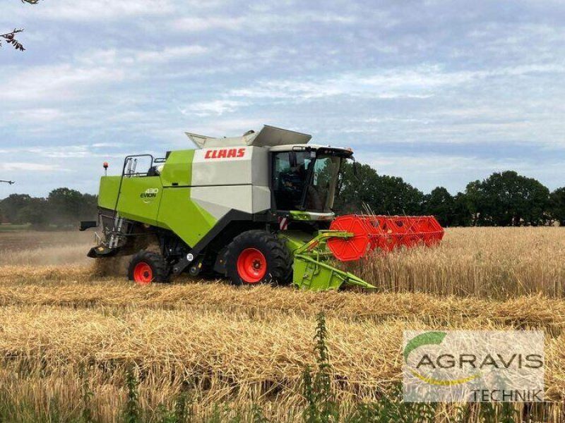 Claas EVION 430 CLASSIC TREND