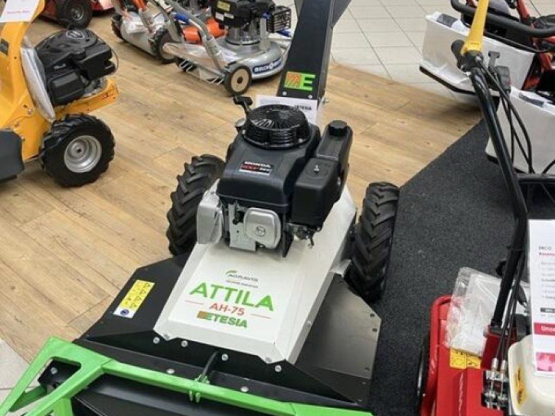 Etesia ATTILA AH 75