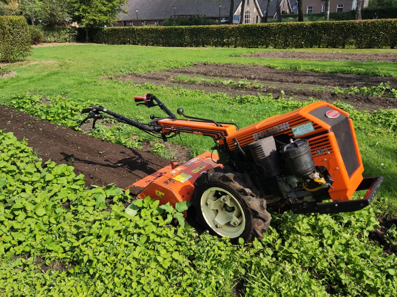 GOLDONI tuinfrees (type Jolly 58I, 9 pk, 55 cm., i.z.g.s.)