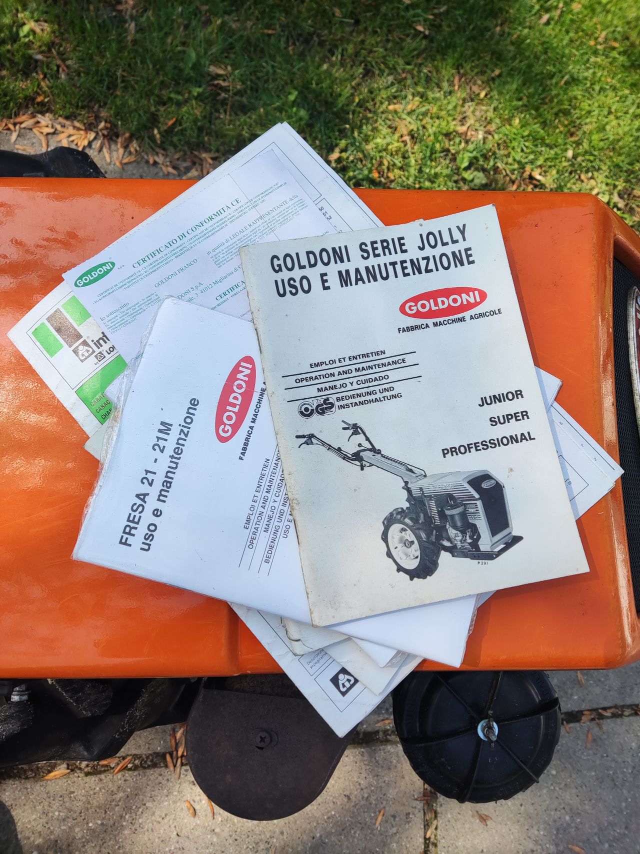GOLDONI tuinfrees (type Jolly 58I, 9 pk, 55 cm., i.z.g.s.)