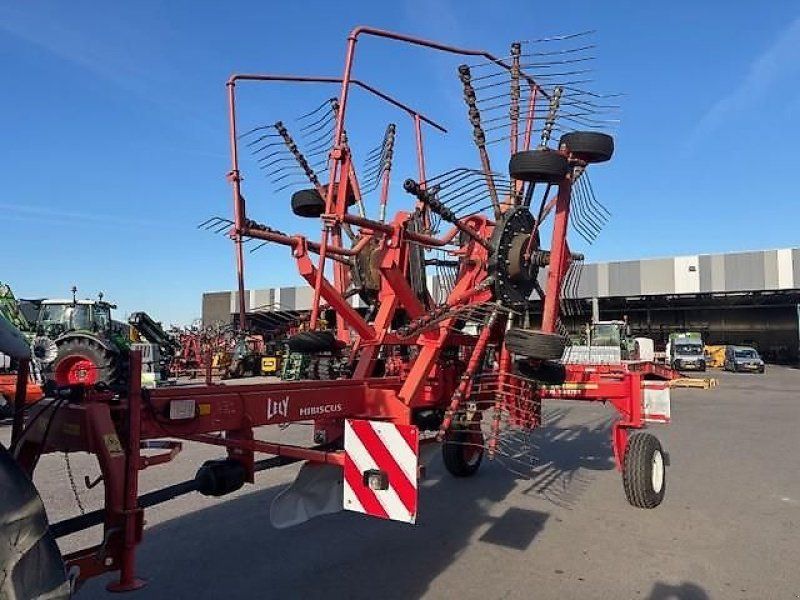Lely Hibiscus 725