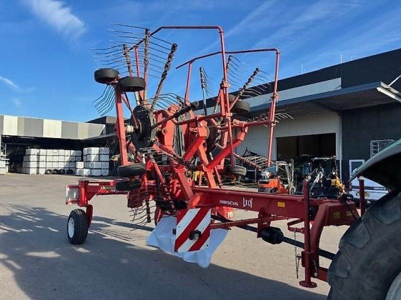 Lely Hibiscus 725