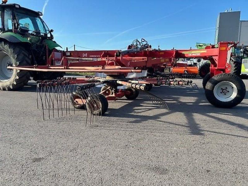 Lely Hibiscus 725