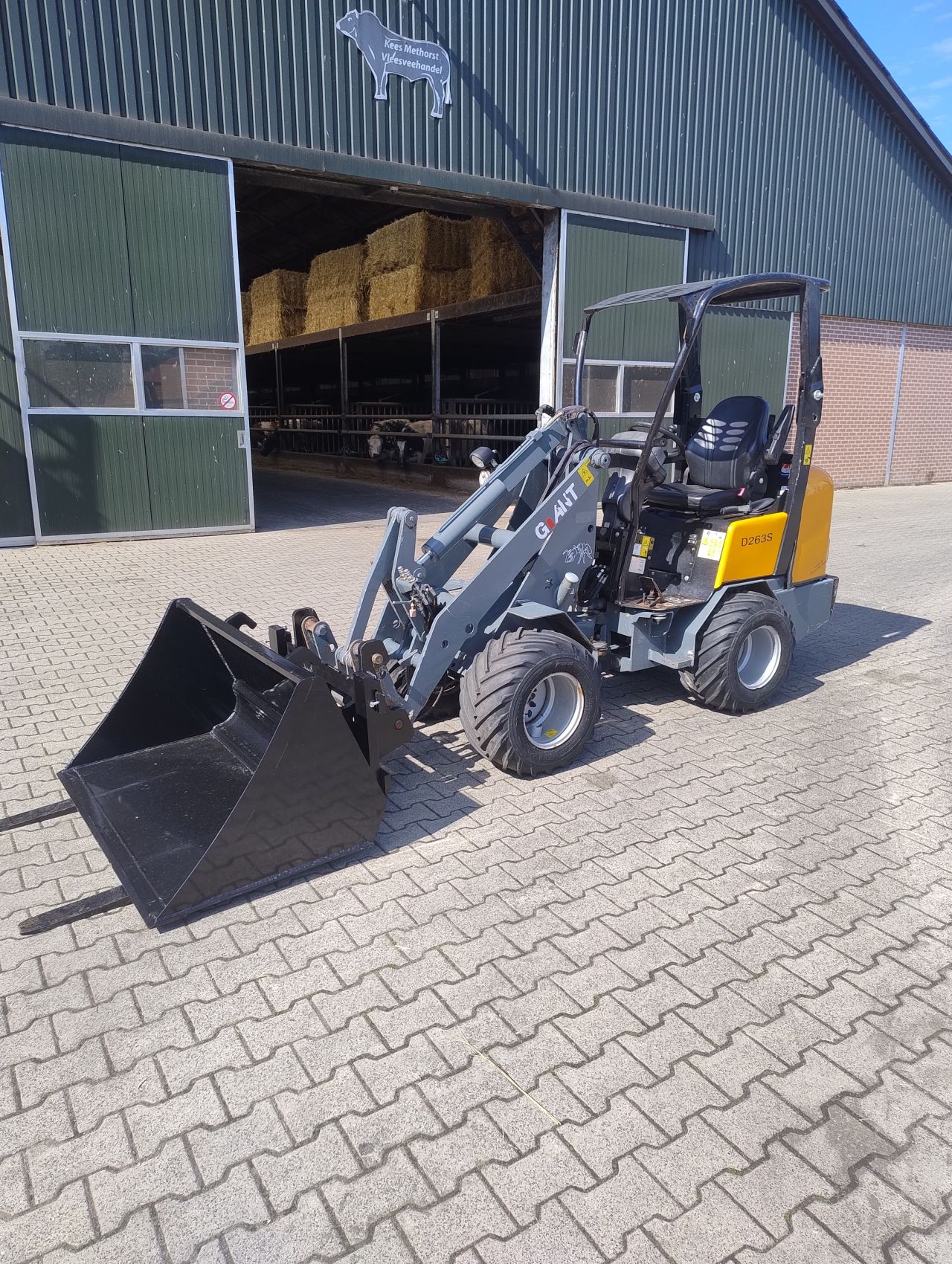 Giant D263S