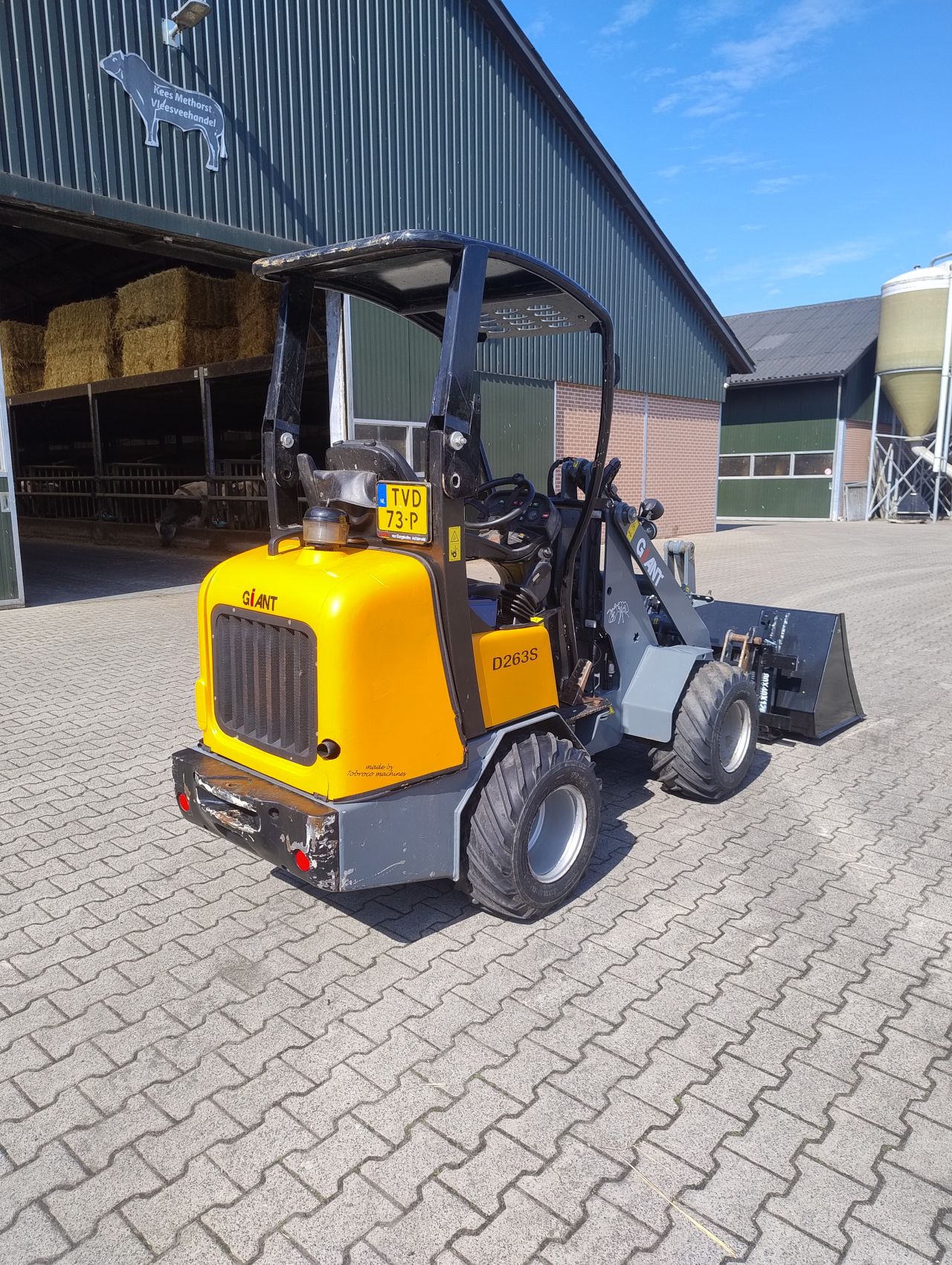 Giant D263S