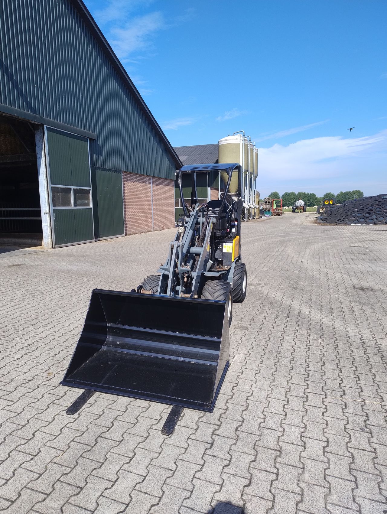 Giant D263S