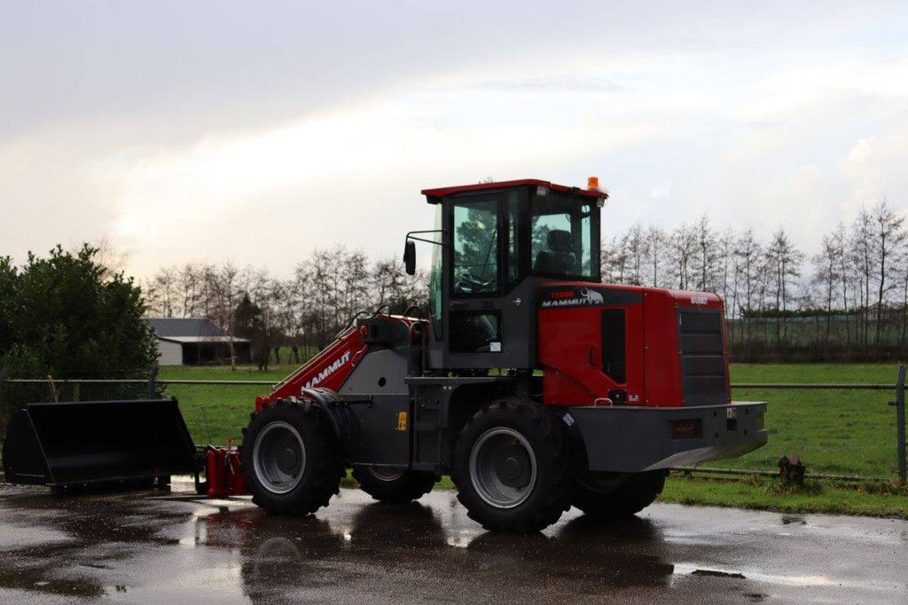 Wiellader Mammut T-2500 Diesel 2023 Nieuw