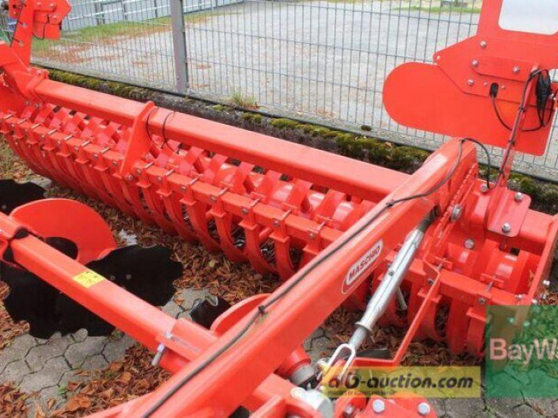 Maschio TERREMOTO 3 300