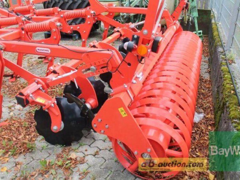 Maschio TERREMOTO 3 300