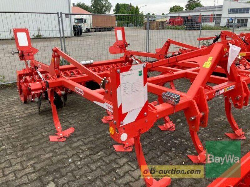 Maschio TERREMOTO 3 300