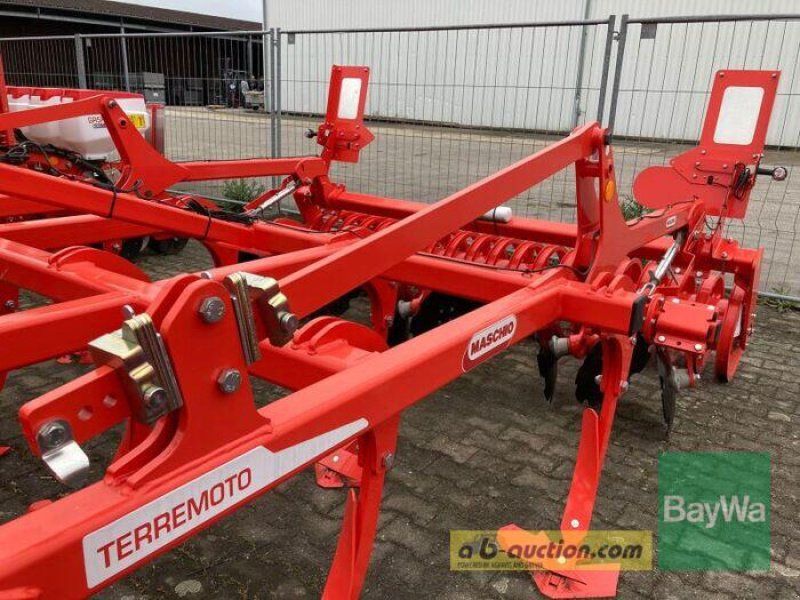 Maschio TERREMOTO 3 300