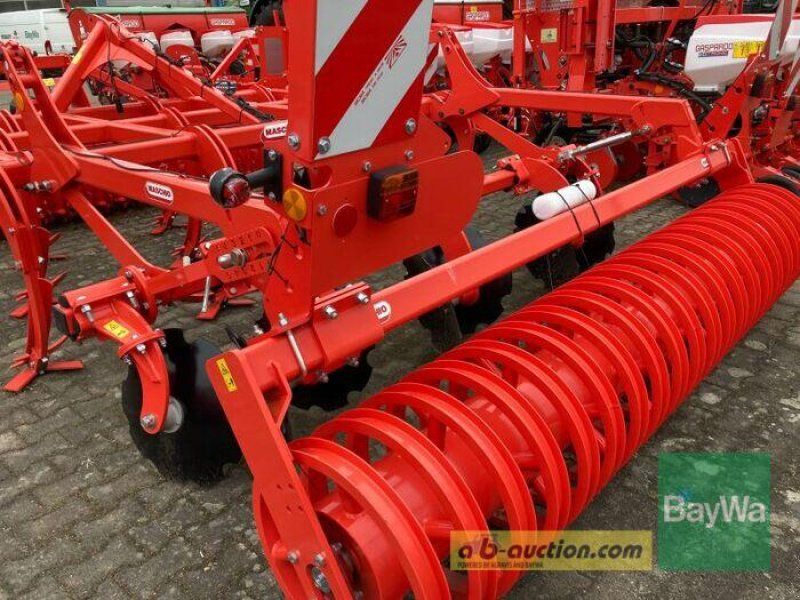 Maschio TERREMOTO 3 300