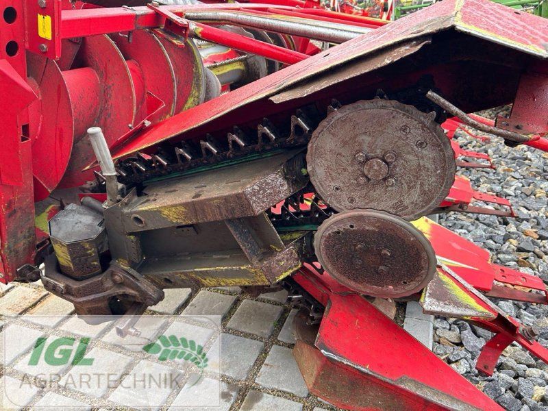 Claas Maisgebiss 6 Reiher mit Case Aufnahme