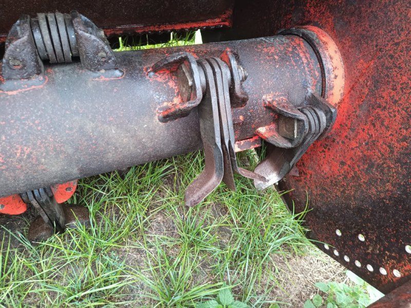 Maschio Tornado 310