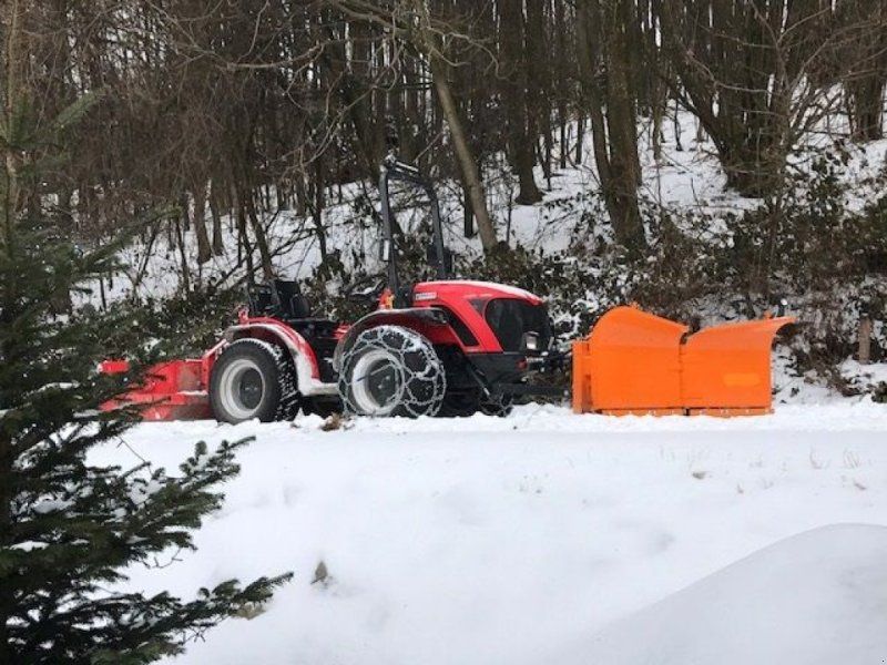 Antonio Carraro TIGRE 3800 Schlepper Traktor Pasquali