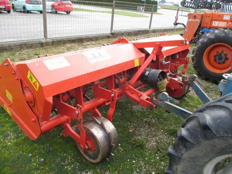 Tortella 305