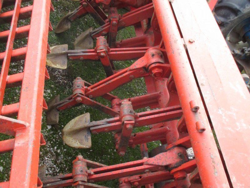 Tortella 305