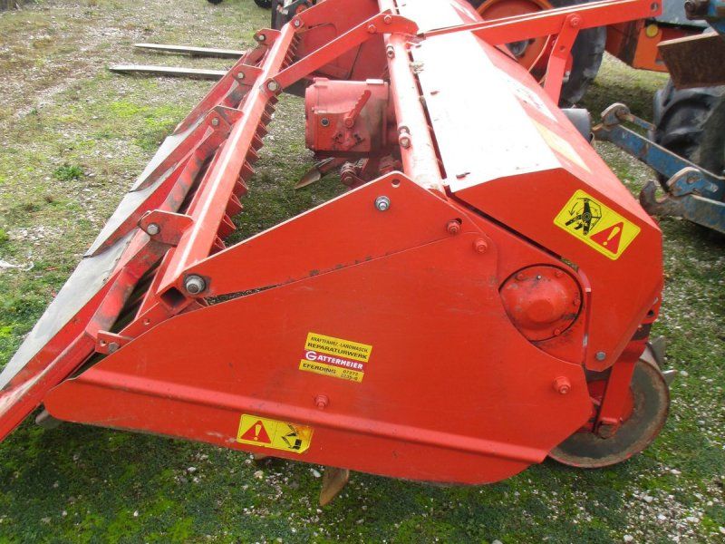 Tortella 305
