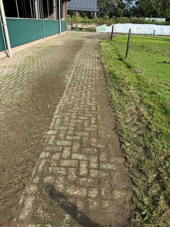 Kemp onkruidborstel zwenkbaar