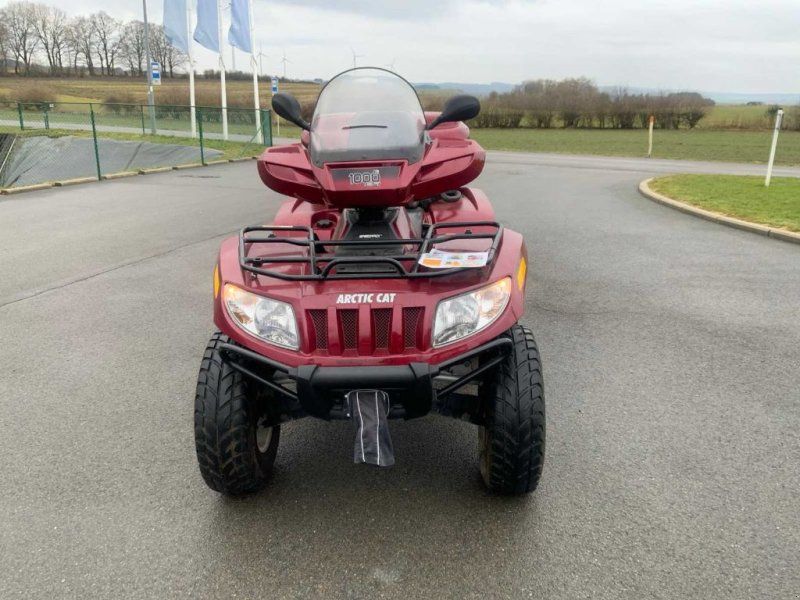 Cat Cruiser 1000