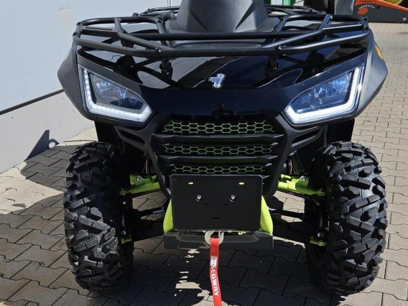 Snarler 600 GS-N LOF schwarz-grün