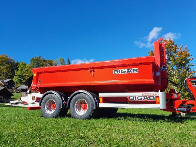 BigAb B12