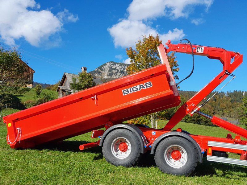BigAb B12
