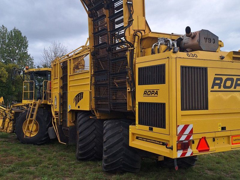 Ropa Tiger V8-3
