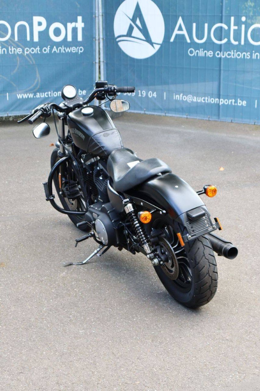 Harley-Davidson Sportster 883N Iron Benzine 2013